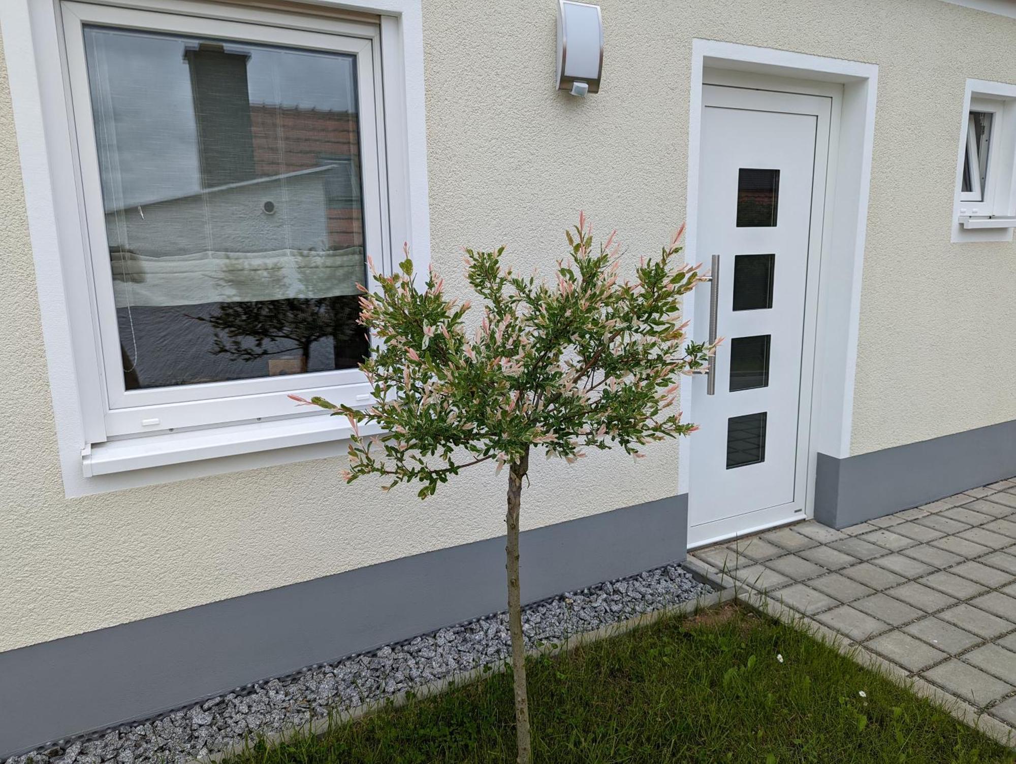 Ferienhaus Zum Kuckuck, Wng 2, Urlaub Im Eichsfeld Kallmerode Exterior foto